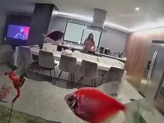 Camsoda Watch Live Sex Cams of voyeurcam-casa-salsa-fishtank