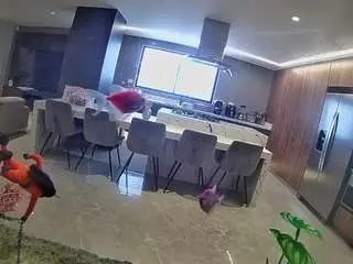 Camsoda Adult Webcam of voyeurcam-casa-salsa-fishtank