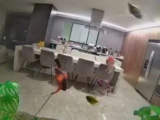 Camsoda Private Sex Chat of voyeurcam-casa-salsa-fishtank