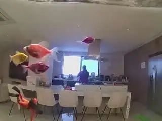 Camsoda Adult Webcam of voyeurcam-casa-salsa-fishtank