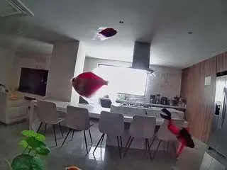 Camsoda Private Sex Chat of voyeurcam-casa-salsa-fishtank