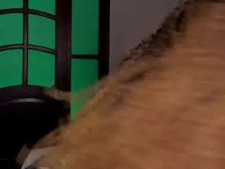 Camsoda Watch Live Sex Cams of nayahh