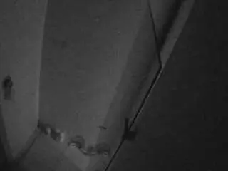 Camsoda Watch Live Sex Cams of voyeurcam-casa-salsa-bathroom-7