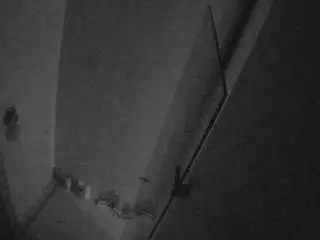 Camsoda Private Sex Chat of voyeurcam-casa-salsa-bathroom-7