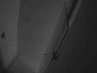 Camsoda Free Live Porn of voyeurcam-casa-salsa-bathroom-7