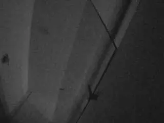 Camsoda Private Sex Chat of voyeurcam-casa-salsa-bathroom-7