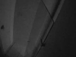 Camsoda Sex Chat of voyeurcam-casa-salsa-bathroom-7