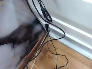Camsoda Adult Webcams of andry-will