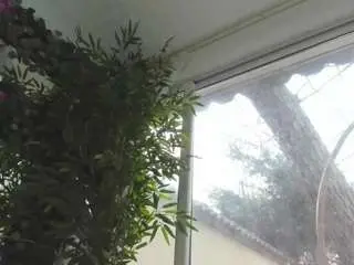 Camsoda Nude Webcam of lexistorm