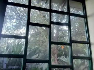 Camsoda Adult Video Chat of angiehuston