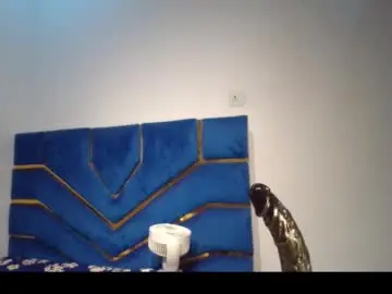 Chaturbate Live Sex of skinnyasssexyboobs