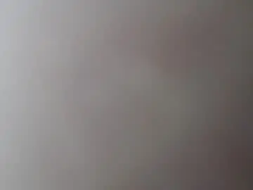 Chaturbate Live Sex of nextdoor_fantasy