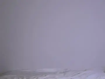 Chaturbate Live Sex of cleosteelcox