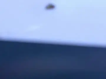 Chaturbate Private Sex Chat of dirtylittleslutt_