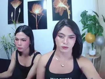 Chaturbate Adult Webcams of asian_irene
