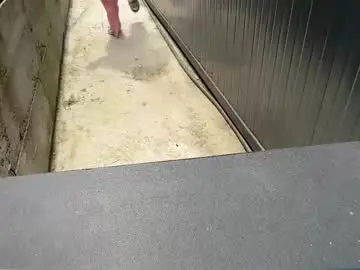 Chaturbate Live Porn of nyconik