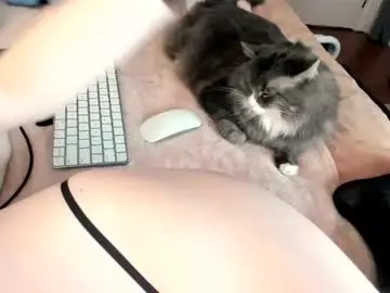 Chaturbate Adult Webcam of eve003300