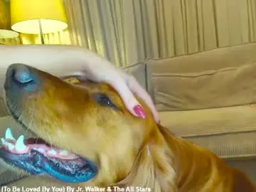 Chaturbate Live Porn of x_lily_x