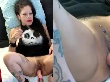 Chaturbate Adult Webcams of feleenafux42