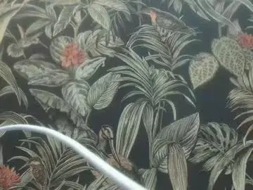 Chaturbate Nude Webcam of dyafirst