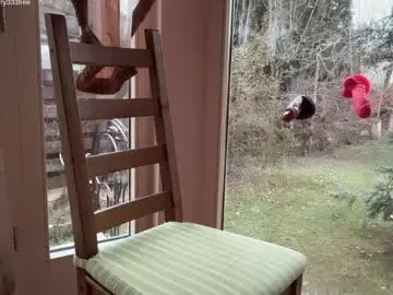 Chaturbate Adult Webcams of patry333