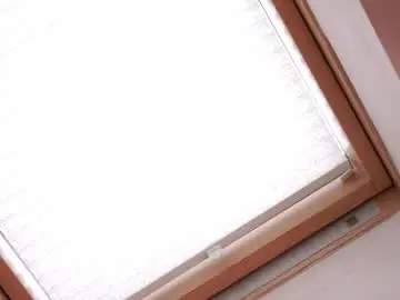 Chaturbate Live Porn of charmainepenny