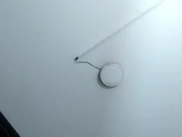 Chaturbate Live Sex of cielo_honey