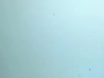 Chaturbate Best Webcam of sweetie_lisa