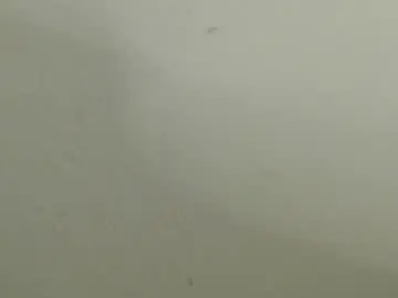 Chaturbate Free Live Porn of raycatt