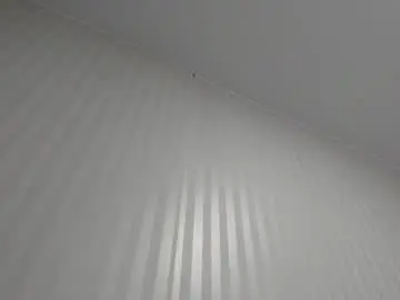 Chaturbate Best Webcam of aminaswan_