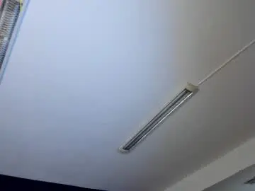 Chaturbate Live Sex Cam of saracorraless