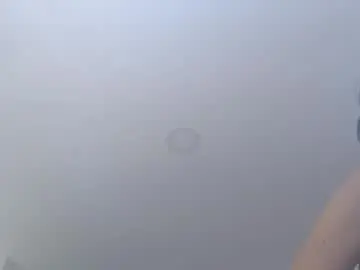 Chaturbate Live Porn of amadamar