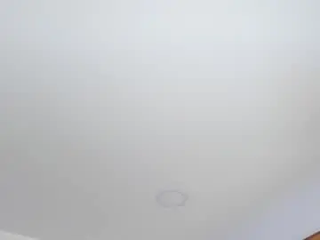 Chaturbate Free Porn Cam of megan8_