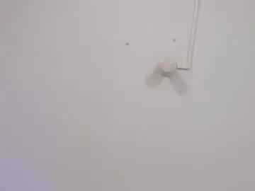 Chaturbate Best Webcam of victoria_blakee