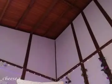 Chaturbate Live Porn of brie_cheese1