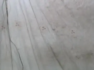 Chaturbate Live Porn of lusty_xxxx