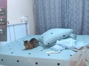 Chaturbate Live Sex Cam of not_nakedcat