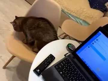 Chaturbate Private Sex Chat of kierstenmorioka