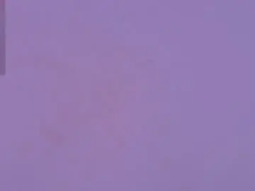 Chaturbate Adult Video Chat of nocturnapsy