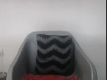 Chaturbate Watch Live Sex Cams of hotjessie0