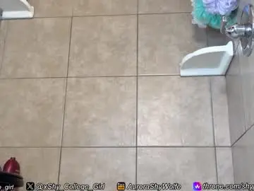 Chaturbate Adult Webcam of shy_college_girl