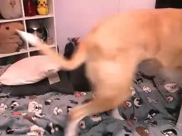 Chaturbate Free Porn Cam of bouncinbooty