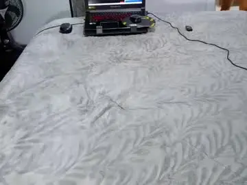 Chaturbate Live Sex Cam of laylabrasil