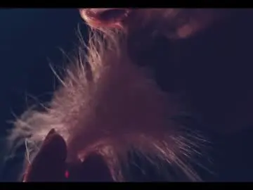 Chaturbate Adult Video Chat of taanni_bc