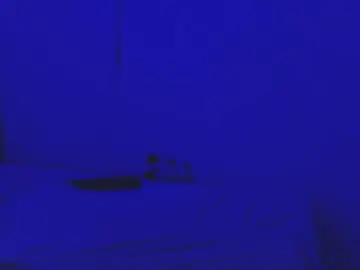 Chaturbate Live Sex of sammy_fox26
