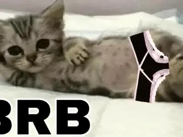 Chaturbate Live Sex Cam of _meowmiko__