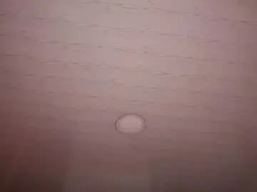 Chaturbate Live Porn of ambervelvetx