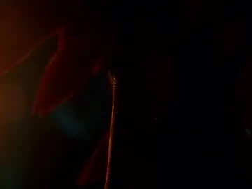 Chaturbate Free Live Porn of artmosphera