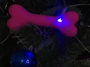 Chaturbate Live Porn of taitehambelton