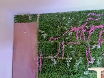 Chaturbate Live Sex of sabrina_geek